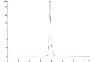 The purity of Mouse TEM7R is greater than 95 % as determined by SEC-HPLC.