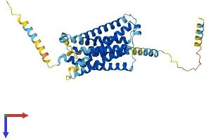 AlphaFold protein structure predicition of Mouse Recombinant Mrgprb1 Protein, UniprotID Q3UG61 (Mrgprb1 Protein (AA 1-350) (His tag))