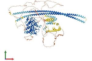 Protein Structure (PS) image for TAO Kinase 2 (TAOK2) (AA 1-1235) protein (His tag) (ABIN7555724)