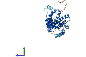 Protein Structure (PS) image for Regulator of Microtubule Dynamics 1 (RMDN1) (AA 1-314) protein (His tag) (ABIN7551503)