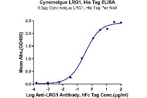 Immobilized Cynomolgus LRG1, His Tag at 5 μg/mL (100 μL/well) on the plate. (LRG1 Protein (AA 72-383) (His tag))