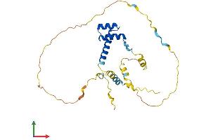 Protein Structure (PS) image for Empty Spiracles Homeobox 2 (EMX2) (AA 1-253) protein (His tag) (ABIN7556885)