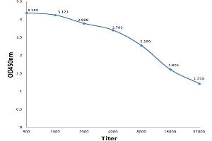 Antigen: 0. (TSHB antibody  (AA 51-138))