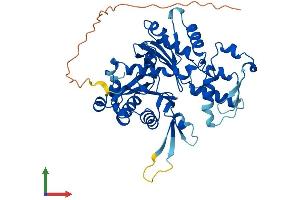 AlphaFold protein structure predicition of Mouse Recombinant Actl9 Protein, UniprotID Q8CG27 (ACTL9 Protein (AA 1-415) (His tag))