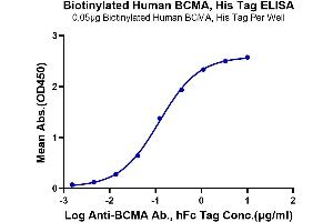Immobilized Biotinylated Human BCMA, His Tag at 0.