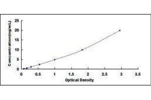 Typical standard curve (MAG ELISA Kit)