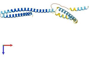 AlphaFold protein structure predicition of Mouse Recombinant Chmp1b2 Protein, UniprotID Q9CQD4 (Chmp1b2 Protein (AA 1-199) (His tag))