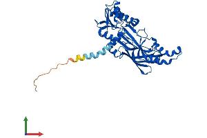 AlphaFold protein structure predicition of Human Recombinant PRMT6 Protein, UniprotID Q96LA8 (PRMT6 Protein (AA 1-375) (His tag))