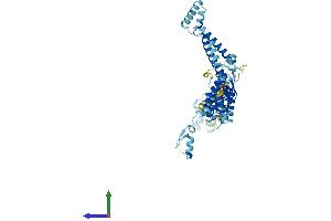 Protein Structure (PS) image for Splicing Factor 3a, Subunit 3, 60kDa (SF3A3) (AA 1-501) protein (His tag) (ABIN7561008)