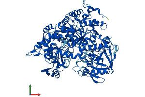 AlphaFold protein structure predicition of Human Recombinant ACO1 Protein, UniprotID P21399