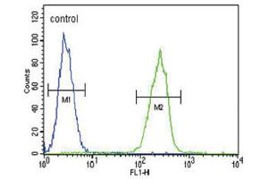 Flow Cytometry (FACS) image for anti-Serpin Family A Member 7 (SERPINA7) antibody (ABIN3002767) (SERPINA7 antibody)