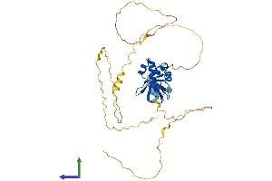 Protein Structure (PS) image for SAM and SH3 Domain Containing 3 (SASH3) (AA 1-380) protein (His tag) (ABIN7559534)