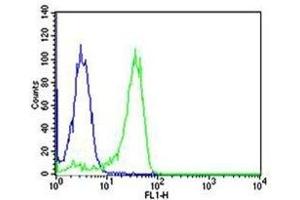Flow cytometric analysis of HeLa cells using NFKB1 antibody (green) and an isotype control of mouse IgG1 (blue); Ab was diluted at 1:25 dilution. (NFKB1 antibody)