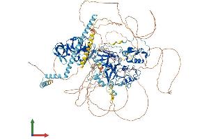 AlphaFold protein structure predicition of Mouse Recombinant Setdb1 Protein, UniprotID O88974 (SETDB1 Protein (AA 1-1307) (His tag))