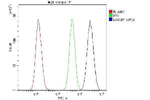 Flow Cytometry analysis of U20S cells using anti-EWSR1 antibody (ABIN3043825). (EWSR1 antibody  (Middle Region))