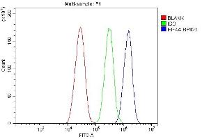 Flow Cytometry analysis of HepG2 cells using anti-EIF4A antibody (ABIN7601309). (EIF4A1 antibody  (AA 32-406))
