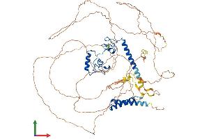 AlphaFold protein structure predicition of Human Recombinant LIN54 Protein, UniprotID Q6MZP7