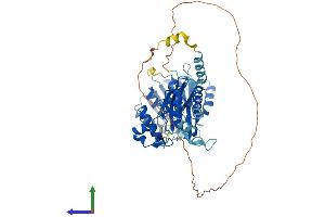AlphaFold protein structure predicition of Human Recombinant METTL16 Protein, UniprotID Q86W50