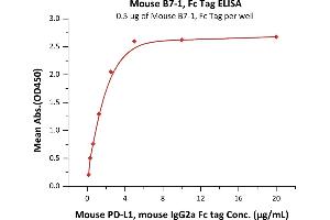 ELISA image for CD80 (CD80) (AA 38-245) (Active) protein (Fc Tag) (ABIN2870713)