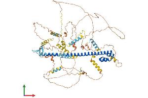Protein Structure (PS) image for Nuclear Factor (erythroid-Derived 2)-Like 1 (NFE2L1) (AA 1-772) protein (His tag) (ABIN7549787)