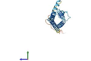 AlphaFold protein structure predicition of Mouse Recombinant Cmtm2a Protein, UniprotID Q9DAR1 (CMTM2A Protein (AA 1-169) (His tag))