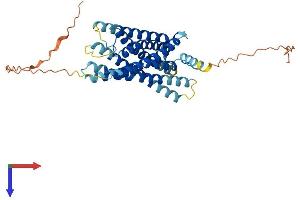 AlphaFold protein structure predicition of Human Recombinant GPR34 Protein, UniprotID Q9UPC5
