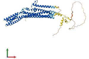 AlphaFold protein structure predicition of Human Recombinant TTYH2 Protein, UniprotID Q9BSA4