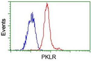 Flow cytometric Analysis of Jurkat cells, using anti-PKLR antibody (ABIN2453478), (Red), compared to a nonspecific negative control antibody (ABIN2453478), (Blue). (PKLR antibody)