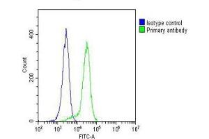 Overlay histogram showing Hela cells stained with (ABIN6242844 and ABIN6577191)(green line). (CYLD antibody  (AA 305-582))