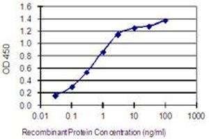 Detection limit for recombinant GST tagged GJA8 is 0. (GJA8 antibody  (AA 301-410))