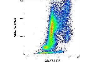 Flow cytometry surface staining pattern of human GM-CSF and Il-4 stimulated peripheral blood mononuclear cells stained using anti-human CD273 (24F. (PDCD1LG2 antibody  (PE))