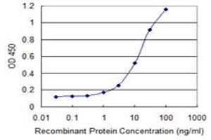 Detection limit for recombinant GST tagged MAP3K15 is 0. (MAP3K15 antibody  (AA 691-786))