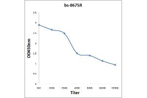 Antigen: 0. (BDKRB1 antibody  (AA 161-260))