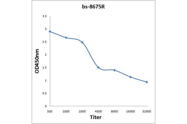 BDKRB1 antibody  (AA 161-260)