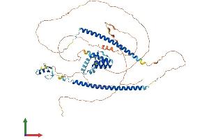 AlphaFold protein structure predicition of Mouse Recombinant Cbfa2t3 Protein, UniprotID O54972