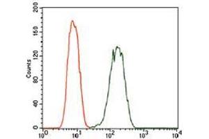Flow cytometric analysis of A549 cells using PDE1B mouse mAb (green) and negative control (red). (PDE1B antibody  (AA 370-536))