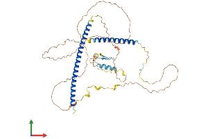 Protein Structure (PS) image for TRAF Family Member-Associated NFKB Activator (TANK) (AA 1-425) protein (His tag) (ABIN7544139)