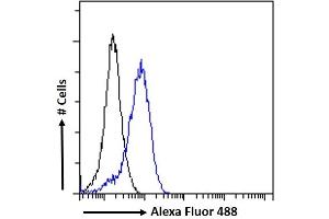(ABIN302176) Flow cytometric analysis of paraformaldehyde fixed A431 cells (blue line), permeabilized with 0. (APOLD1 antibody  (C-Term))