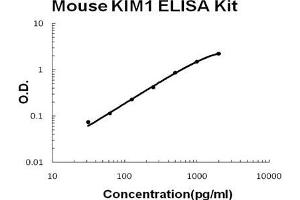 Mouse KIM1 PicoKine ELISA Kit standard curve