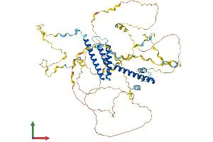 AlphaFold protein structure predicition of Human Recombinant WBP11 Protein, UniprotID Q9Y2W2 (WBP11 Protein (AA 1-641) (His tag))