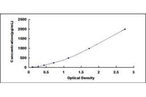 IL1R1 ELISA Kit