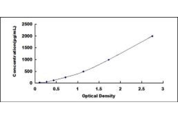 IL1R1 ELISA Kit