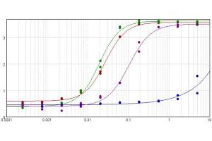 ELISA results of purified Goat Anti-Rabbit IgG F(c) Antibody (Min x Human serum proteins) tested against purified Rabbit IgG F(c) (Red Line), Rabbit IgG (Green Line), and Human IgG (Blue Line). (Goat anti-Rabbit IgG (Fc Region) Antibody - Preadsorbed)