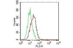 Image no. 2 for anti-Interleukin 25 (IL25) antibody (Biotin) (ABIN1102480) (IL-25 antibody  (Biotin))