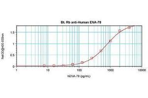 Image no. 1 for anti-Chemokine (C-X-C Motif) Ligand 5 (CXCL5) antibody (Biotin) (ABIN464994) (CXCL5 antibody  (Biotin))