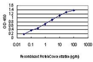 Detection limit for recombinant GST tagged MAPK3 is approximately 0. (ERK1 antibody  (AA 279-379))