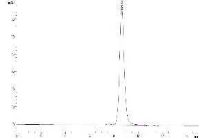 The purity of Mouse IL-1R3 is greater than 95 % as determined by SEC-HPLC. (IL1RAP Protein (AA 21-367) (His tag))