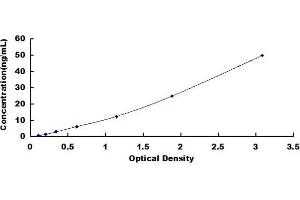 Typical standard curve (DNAJC13 ELISA Kit)