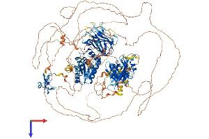 AlphaFold protein structure predicition of Mouse Recombinant Tns2 Protein, UniprotID Q8CGB6
