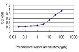Detection limit for recombinant GST tagged IQGAP3 is approximately 0. (IQGAP3 antibody  (AA 602-698))
